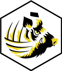 Logo Liffré Football Gaélique